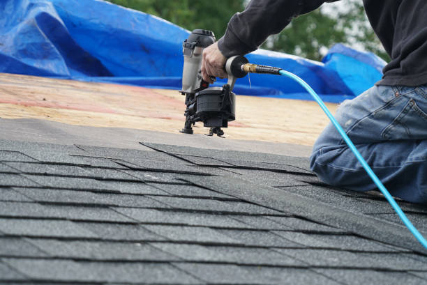 Best Roof Gutter Cleaning  in Colonial Pine Hills, SD